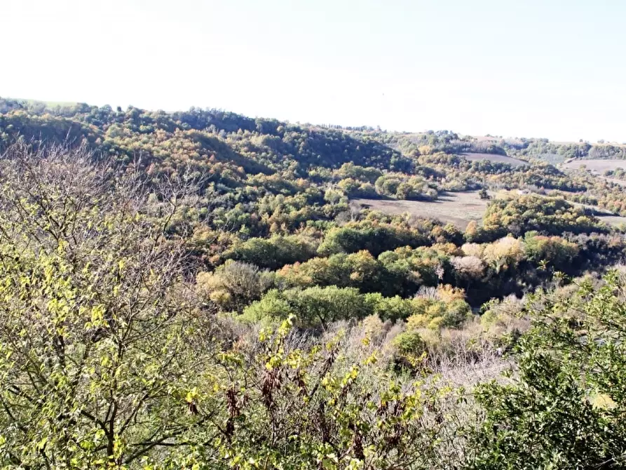 Immagine 19 di Appartamento in vendita  a Baschi