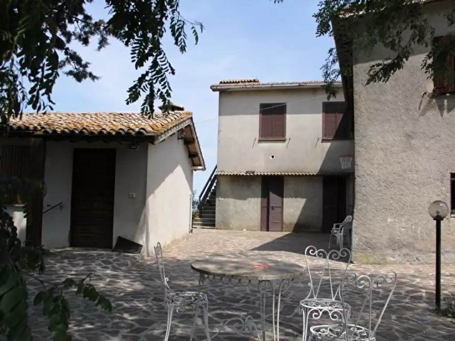 Immagine 4 di Agriturismo in vendita  in Viceno a Castel Viscardo