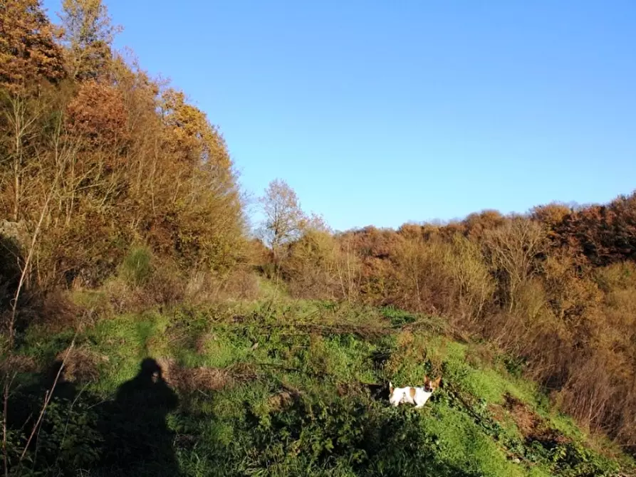 Immagine 4 di Rustico / casale in vendita  in Piazza Ascanio Vitozzi a Orvieto