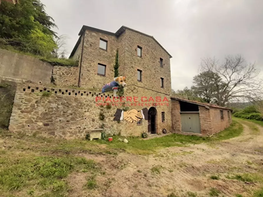 Immagine 3 di Azienda agricola in vendita  in Piazza Ascanio Vitozzi a Orvieto