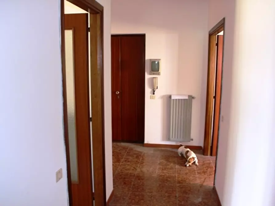 Immagine 4 di Appartamento in vendita  in Orvieto scalo a Orvieto