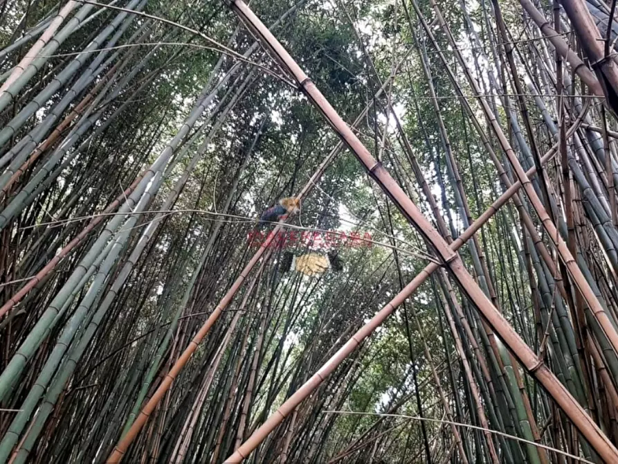Immagine 4 di Rustico / casale in vendita  in Orvieto a Orvieto