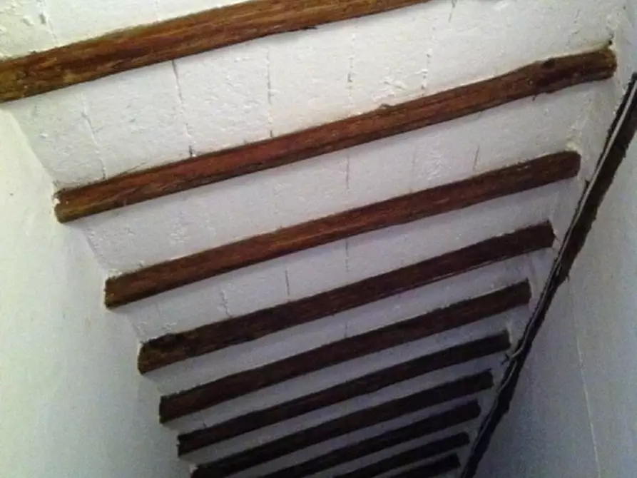 Immagine 6 di Rustico / casale in vendita  in - a Orvieto