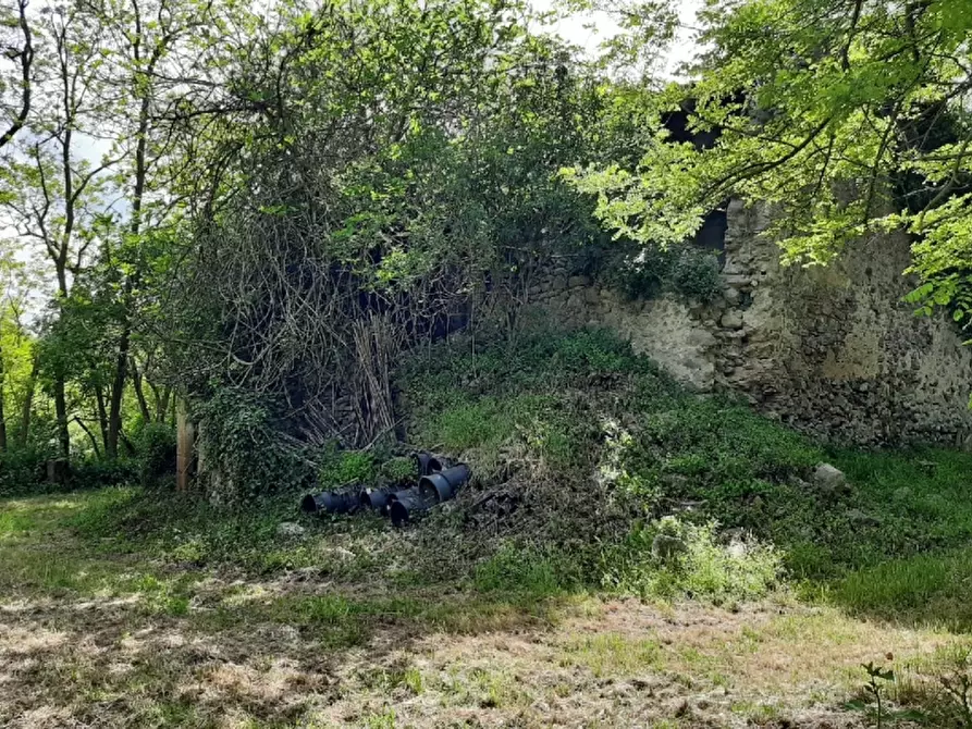 Immagine 4 di Rustico / casale in vendita  a Orvieto