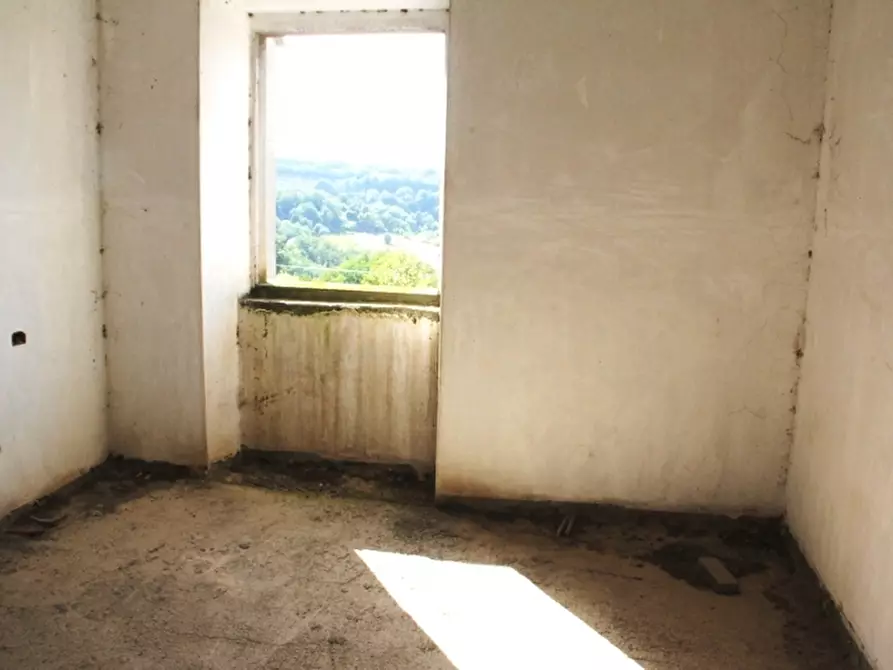 Immagine 4 di Casa indipendente in vendita  a Porano