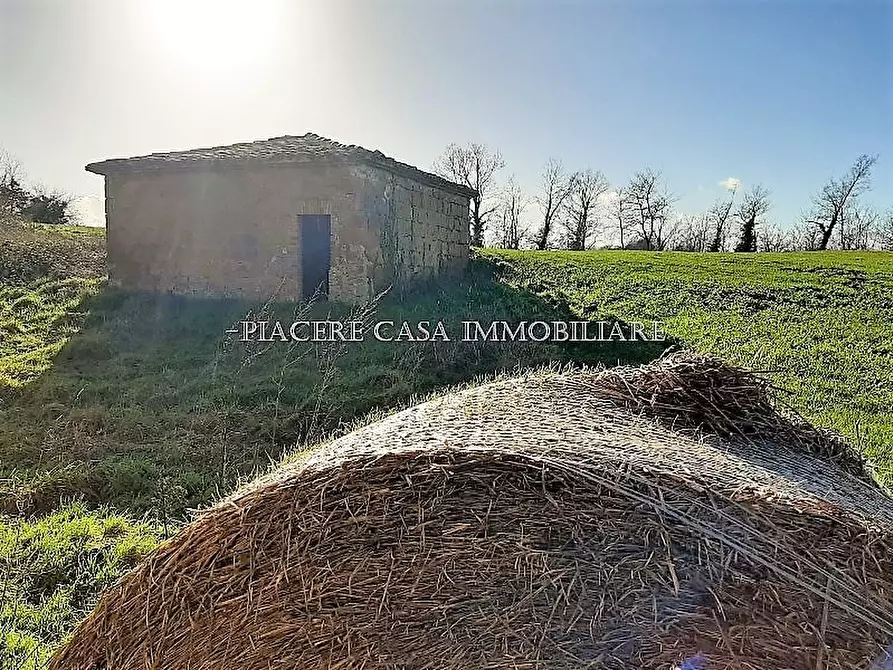 Immagine 4 di Rustico / casale in vendita  in Circondario di Orvieto a Orvieto