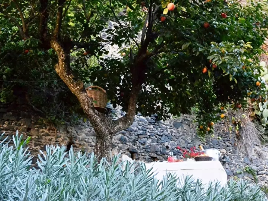 Immagine 20 di Attività commerciale in vendita  in Bagnoregio a Bagnoregio