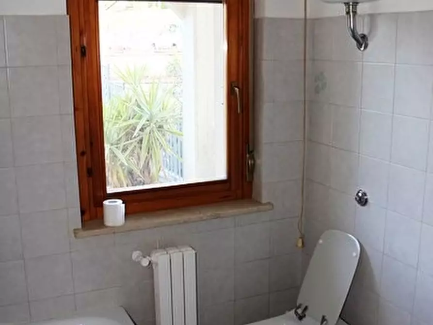 Immagine 5 di Terratetto in vendita  a Allerona