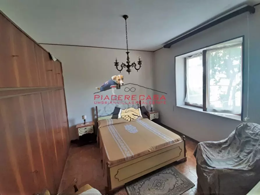 Immagine 4 di Casa indipendente in vendita  in Piazza Ascanio Vitozzi a Castel Giorgio