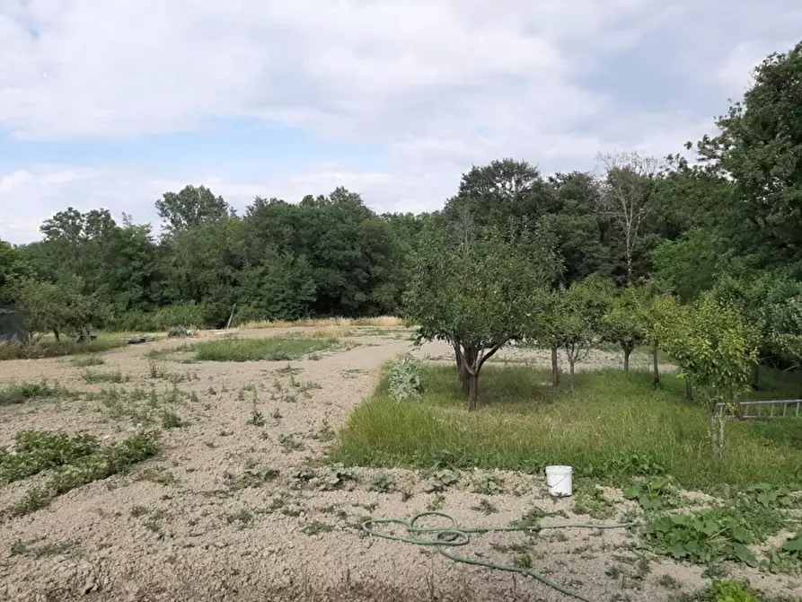 Immagine 5 di Casa indipendente in vendita  a Orvieto