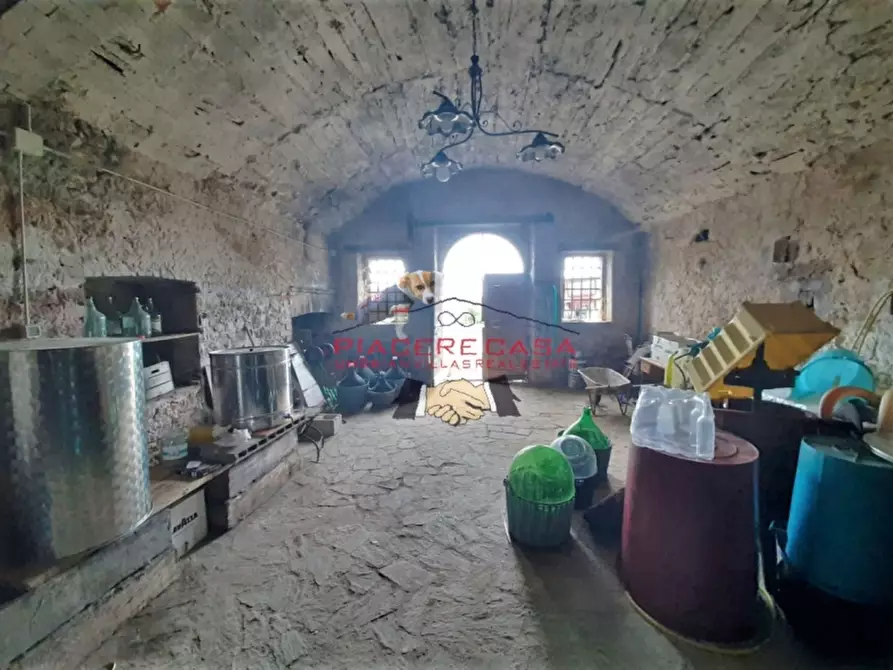 Immagine 6 di Azienda agricola in vendita  in Piazza Ascanio Vitozzi a Orvieto