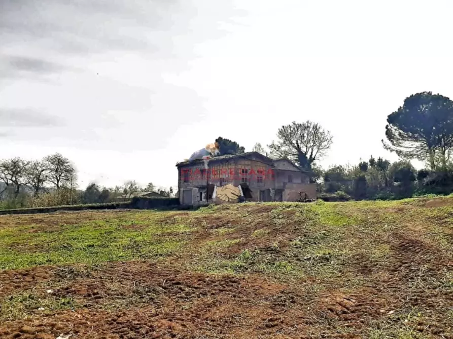 Immagine 3 di Rustico / casale in vendita  in Orvieto a Orvieto