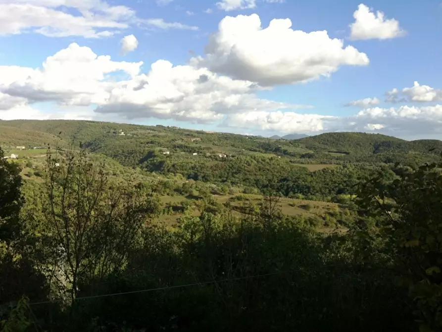 Immagine 8 di Rustico / casale in vendita  in - a Orvieto