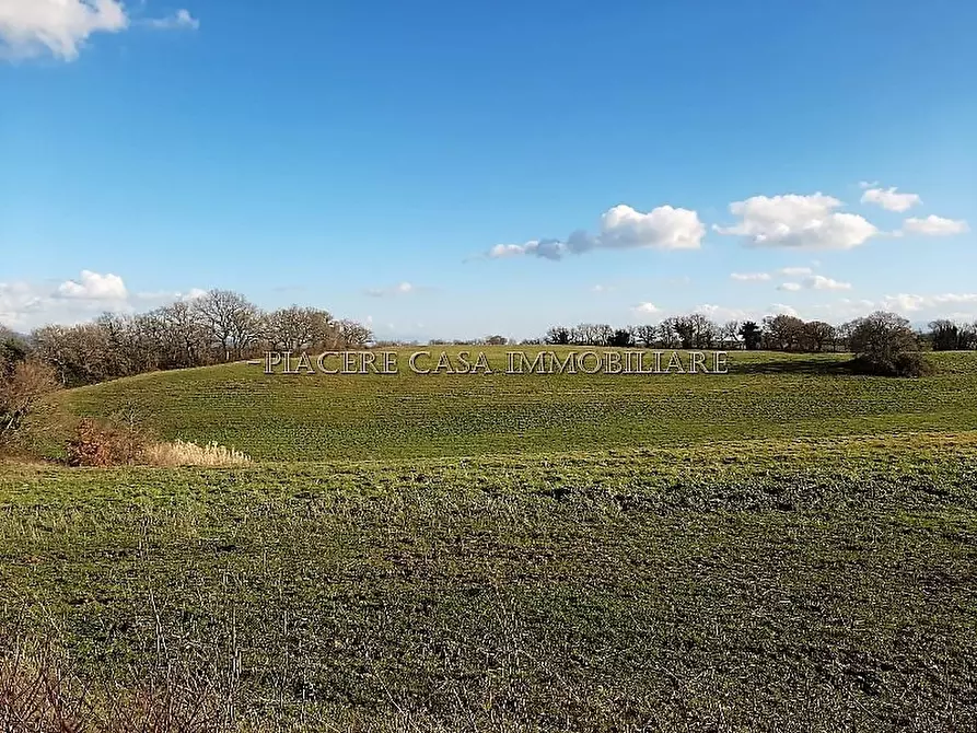 Immagine 5 di Rustico / casale in vendita  in Circondario di Orvieto a Orvieto