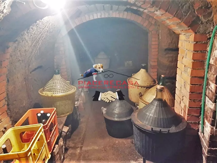 Immagine 15 di Casa indipendente in vendita  in Piazza Ascanio Vitozzi a Castel Giorgio