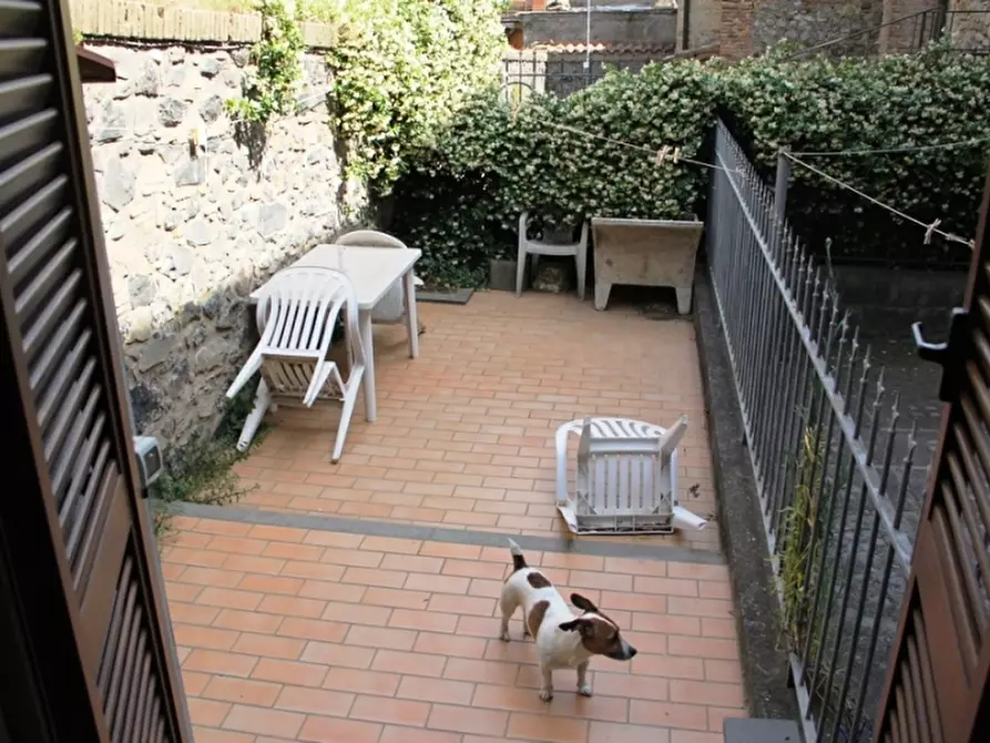 Immagine 4 di Appartamento in vendita  a Castel Viscardo