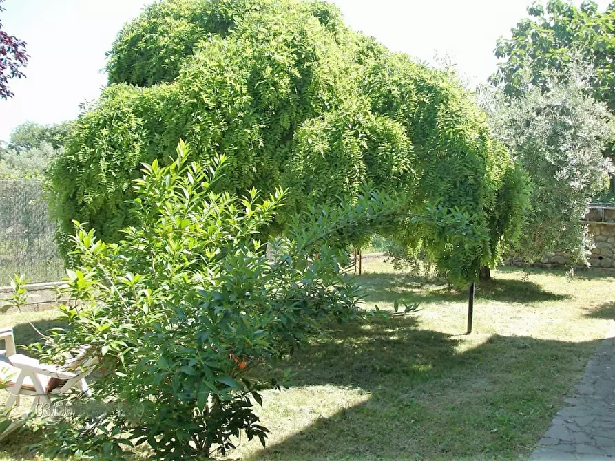 Immagine 8 di Appartamento in vendita  a Ficulle