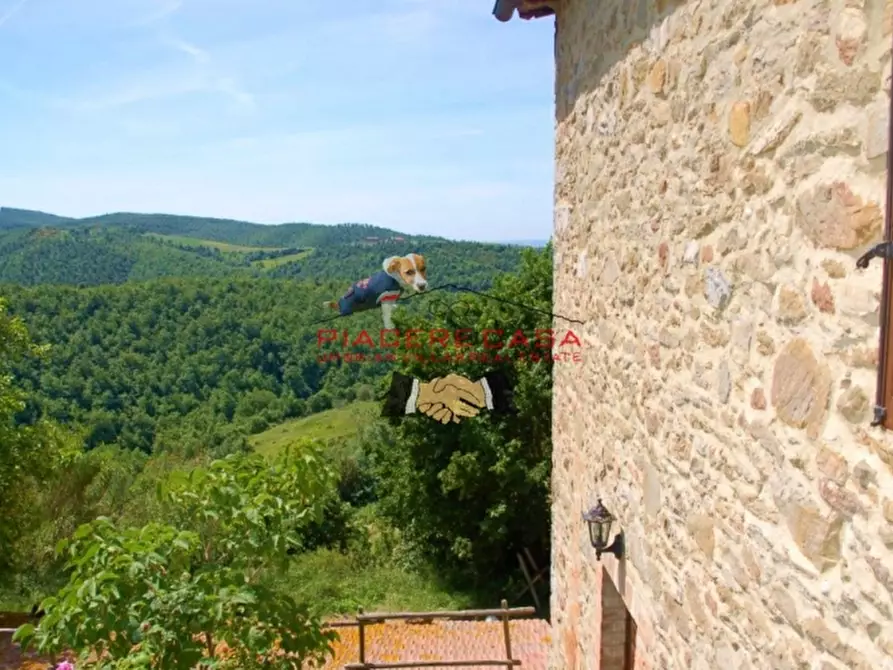 Immagine 10 di Azienda agricola in vendita  in Piazza Ascanio Vitozzi a Orvieto