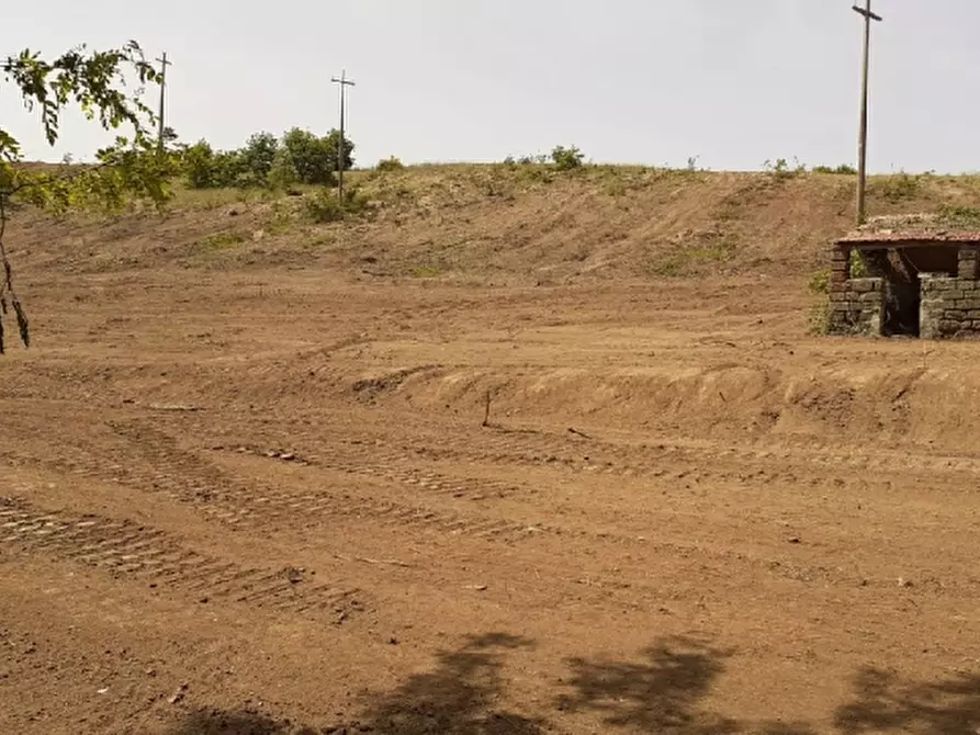 Immagine 6 di Rustico / casale in vendita  a Orvieto