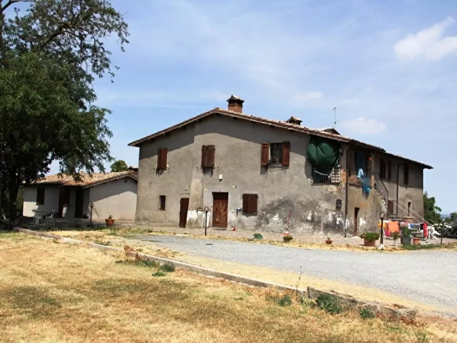 Immagine 7 di Agriturismo in vendita  in Viceno a Castel Viscardo