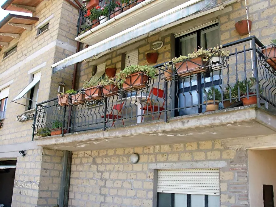 Immagine 9 di Appartamento in vendita  a Ficulle