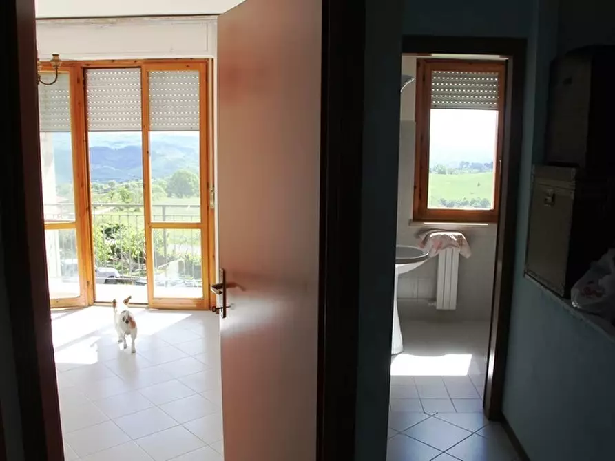 Immagine 8 di Terratetto in vendita  a Allerona