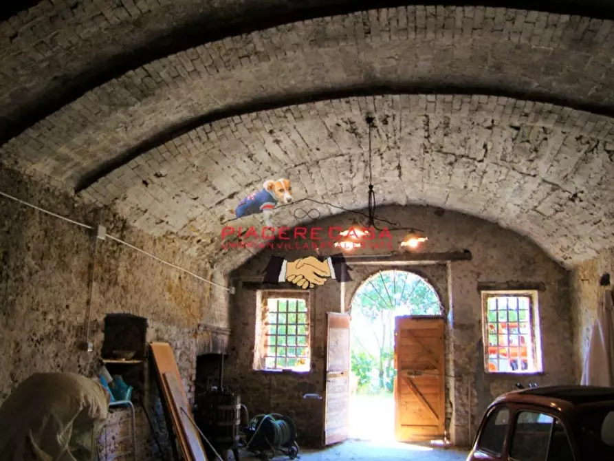 Immagine 8 di Azienda agricola in vendita  in Piazza Ascanio Vitozzi a Orvieto