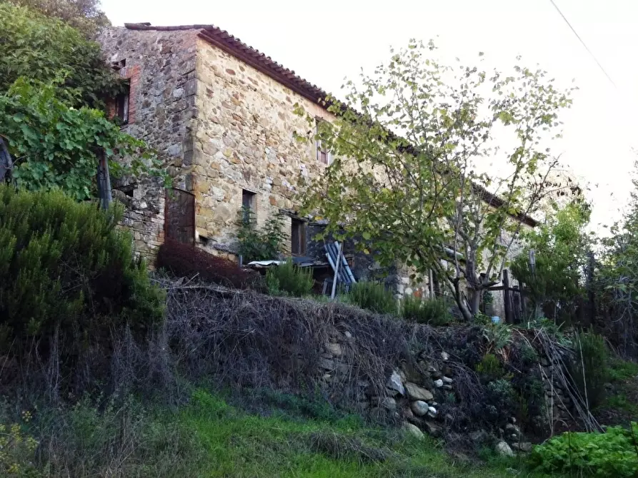 Immagine 10 di Rustico / casale in vendita  in - a Orvieto