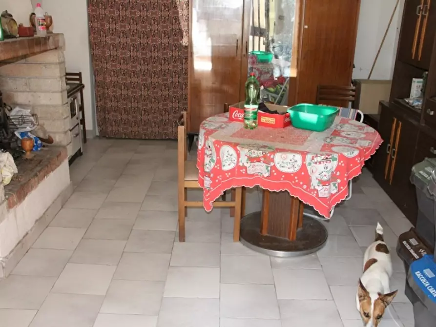 Immagine 9 di Appartamento in vendita  a Allerona