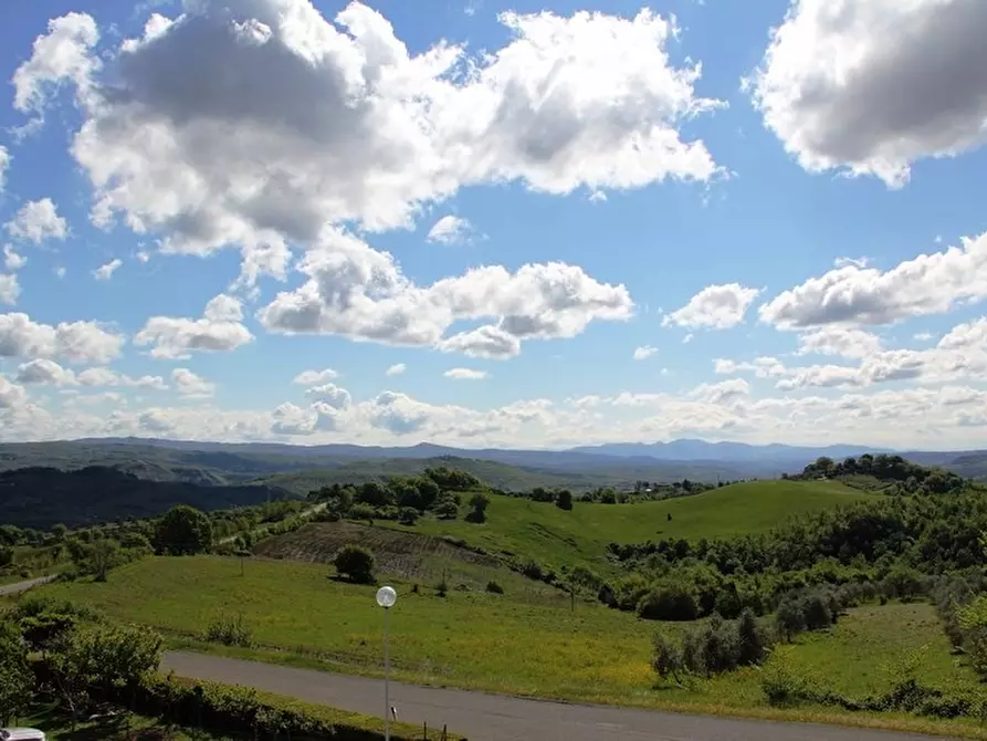 Immagine 9 di Terratetto in vendita  a Allerona