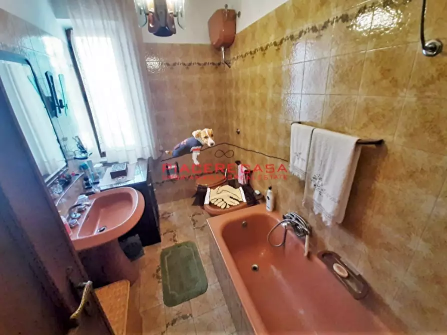 Immagine 6 di Casa indipendente in vendita  in Piazza Ascanio Vitozzi a Castel Giorgio