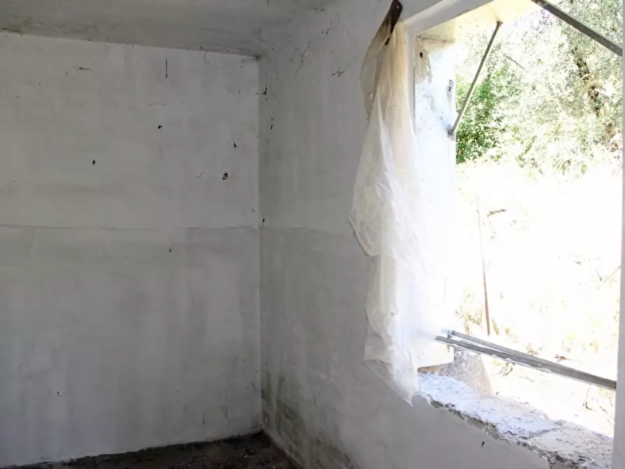 Immagine 7 di Terratetto in vendita  a Castel Viscardo