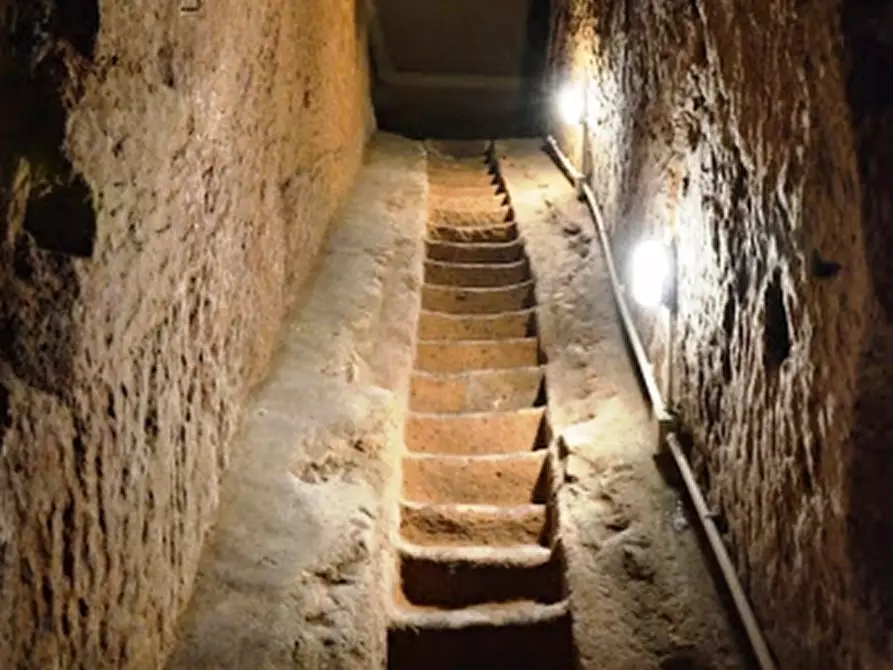 Immagine 7 di Locale commerciale in vendita  a Orvieto