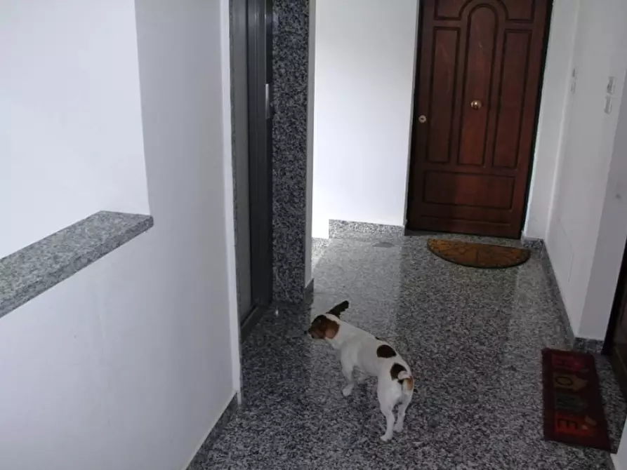 Immagine 9 di Appartamento in vendita  a Orvieto