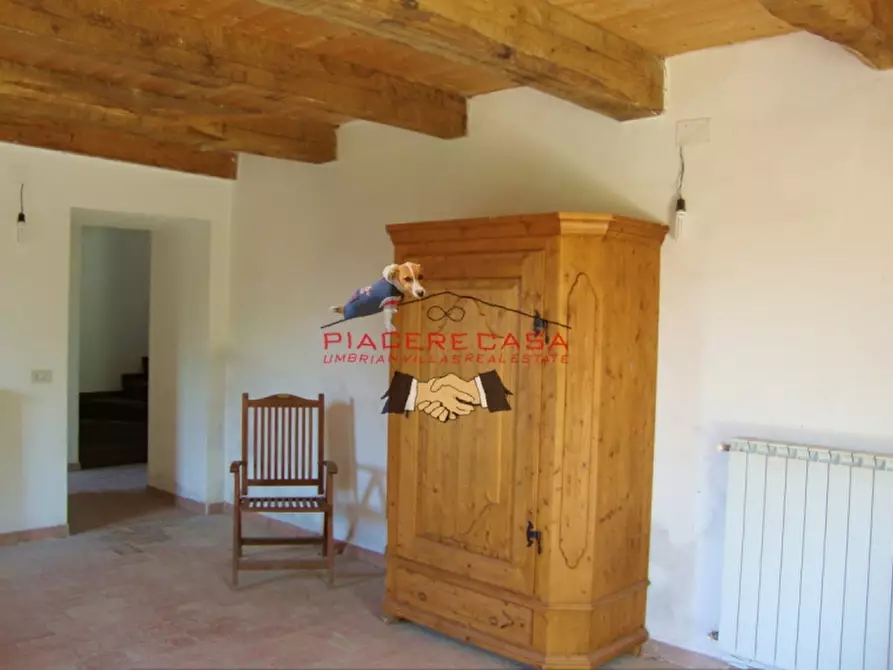 Immagine 16 di Azienda agricola in vendita  in Piazza Ascanio Vitozzi a Orvieto