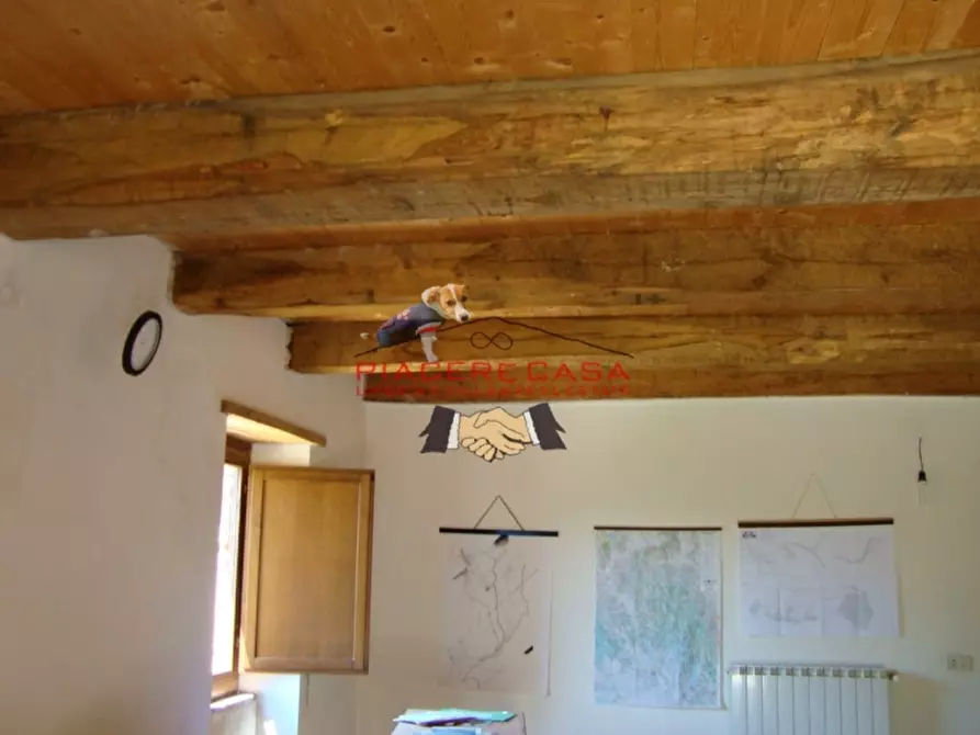 Immagine 17 di Azienda agricola in vendita  in Piazza Ascanio Vitozzi a Orvieto