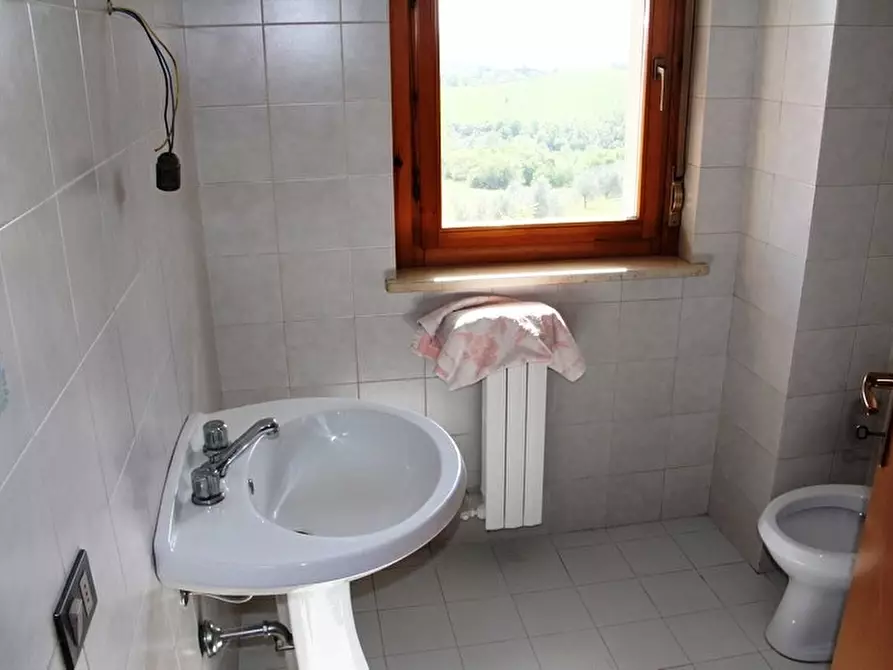 Immagine 10 di Terratetto in vendita  a Allerona