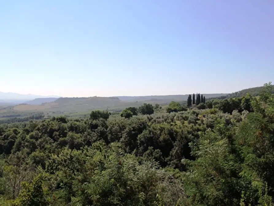 Immagine 9 di Terratetto in vendita  a Castel Viscardo