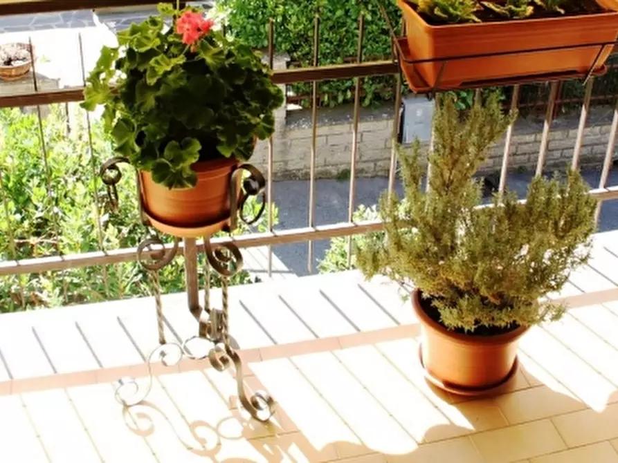 Immagine 10 di Appartamento in vendita  a Porano