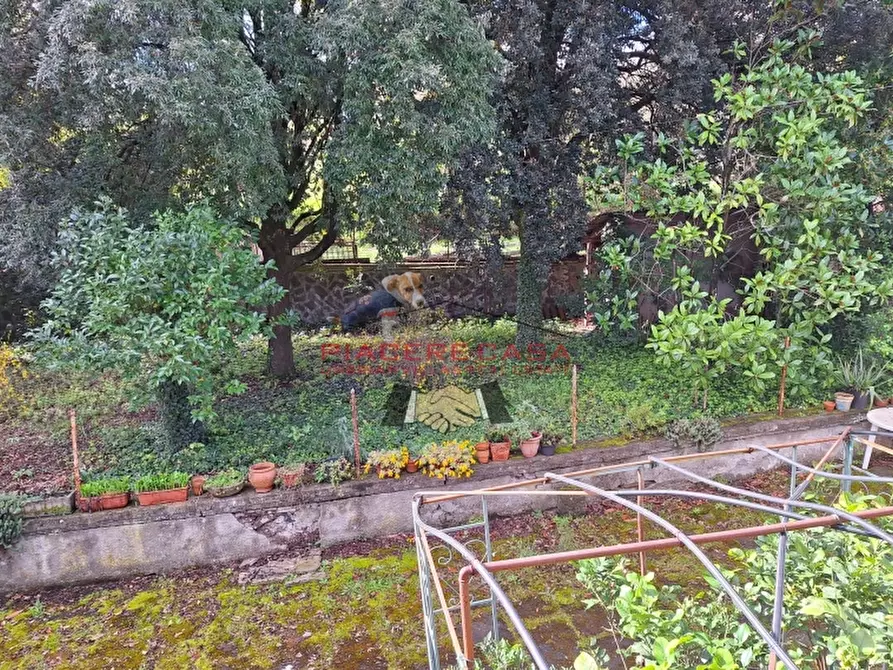 Immagine 7 di Casa indipendente in vendita  in Orvieto a Orvieto