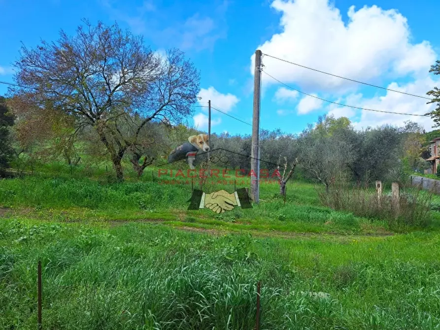 Immagine 6 di Casa indipendente in vendita  in Orvieto a Orvieto