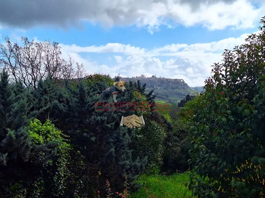 Immagine 3 di Casa indipendente in vendita  in Orvieto a Orvieto