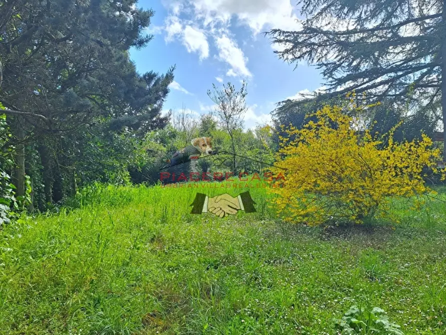 Immagine 8 di Casa indipendente in vendita  in Orvieto a Orvieto