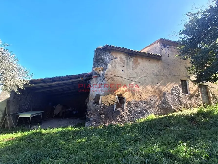 Immagine 21 di Rustico / casale in vendita  in Orvieto a Orvieto