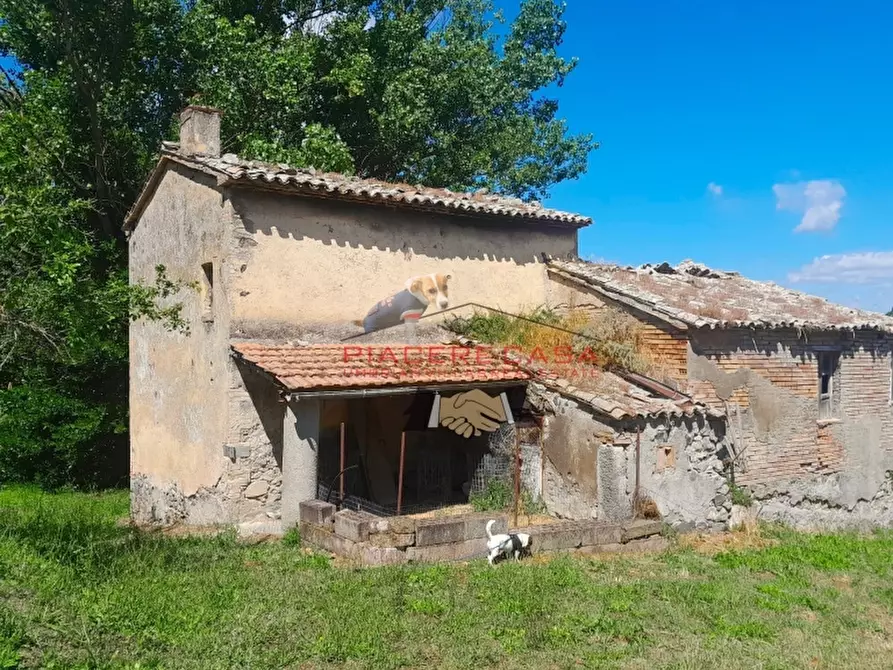 Immagine 22 di Rustico / casale in vendita  in Orvieto a Orvieto