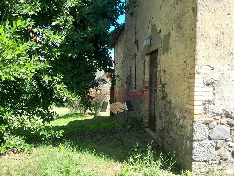 Immagine 23 di Rustico / casale in vendita  in Orvieto a Orvieto