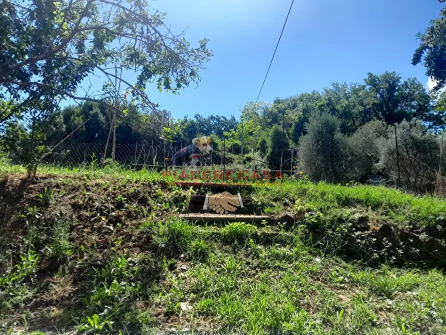 Immagine 24 di Rustico / casale in vendita  in Orvieto a Orvieto