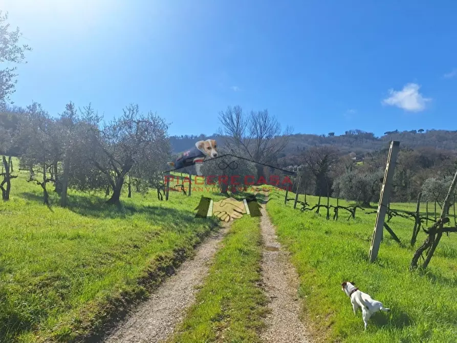 Immagine 26 di Rustico / casale in vendita  in Orvieto a Orvieto