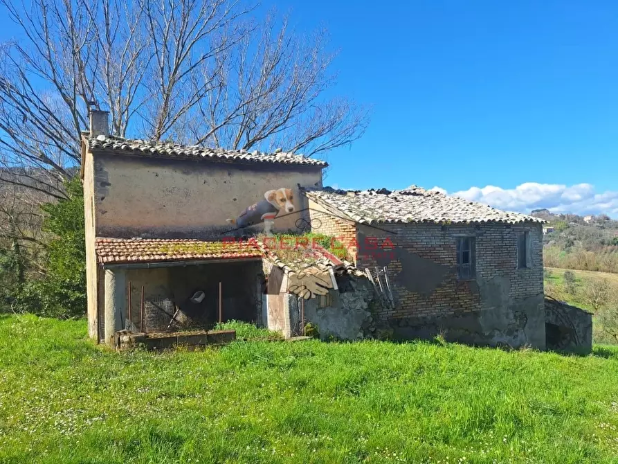 Immagine 19 di Rustico / casale in vendita  in Orvieto a Orvieto