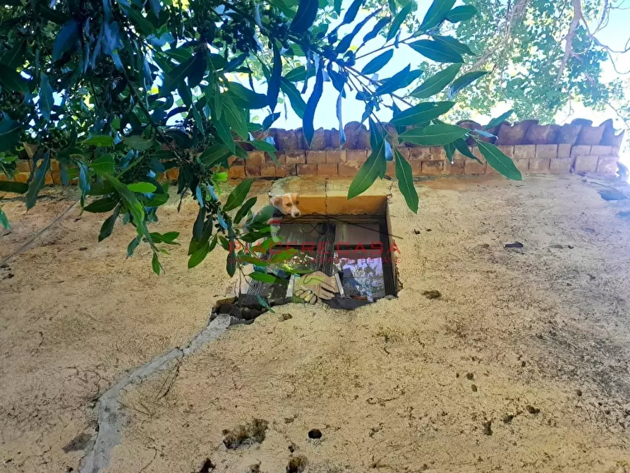 Immagine 5 di Rustico / casale in vendita  in Orvieto a Orvieto